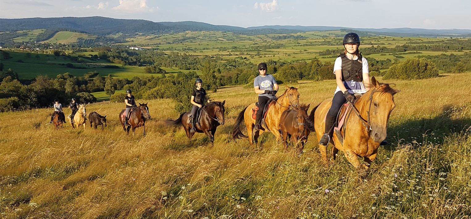 Gdzie można jeździć na konie?