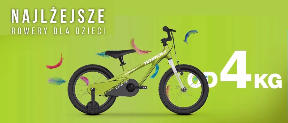 Ile kosztuje 1 tona brykietu drzewnego?