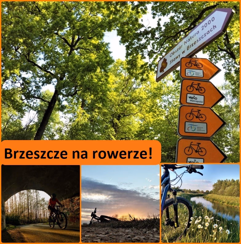 Jak przebiega trasa Velo Dunajec?