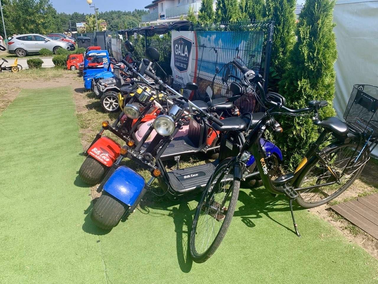 Ile kosztuje wypożyczenie rowerów w Grzybowie?