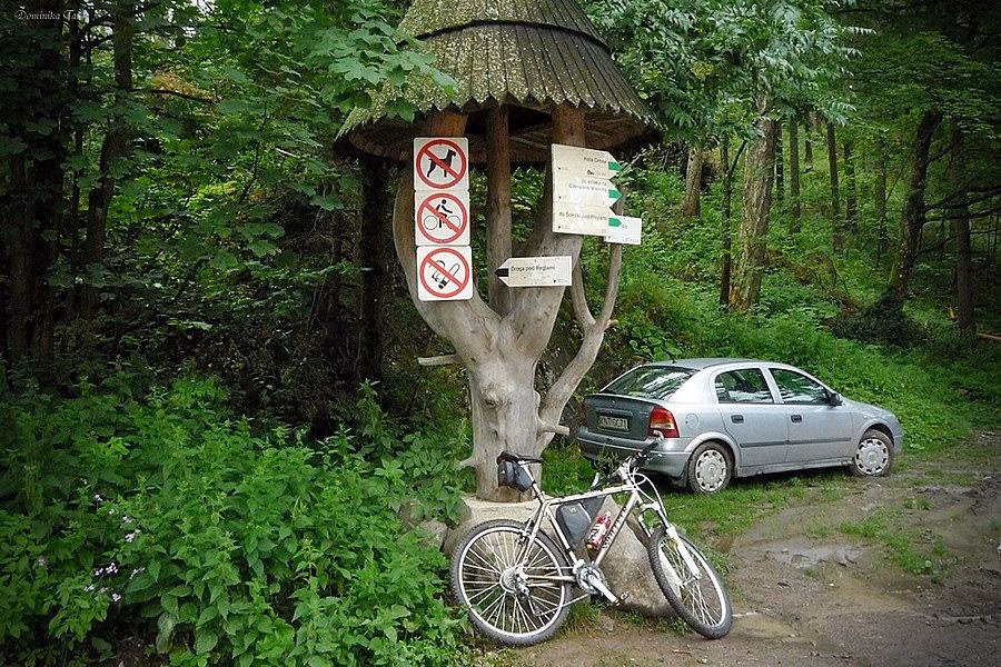 Ile kosztuje bryczką w Dolinie Kościeliskiej?