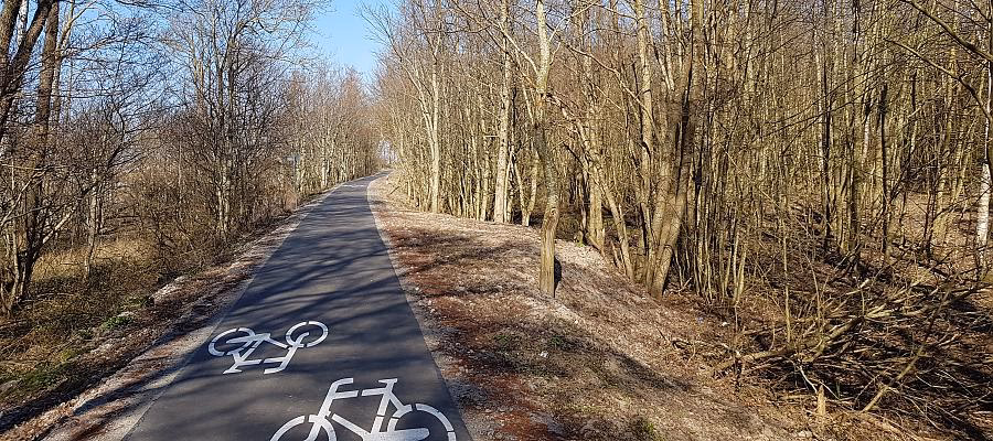 Kiedy ścieżka rowerowa jest dwukierunkowa?