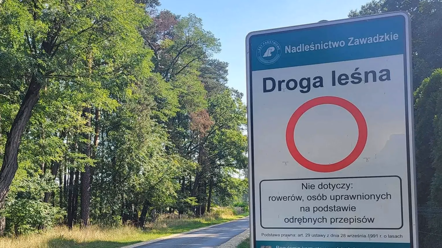 Gdzie obowiązuje zakaz wjazdu do lasu?