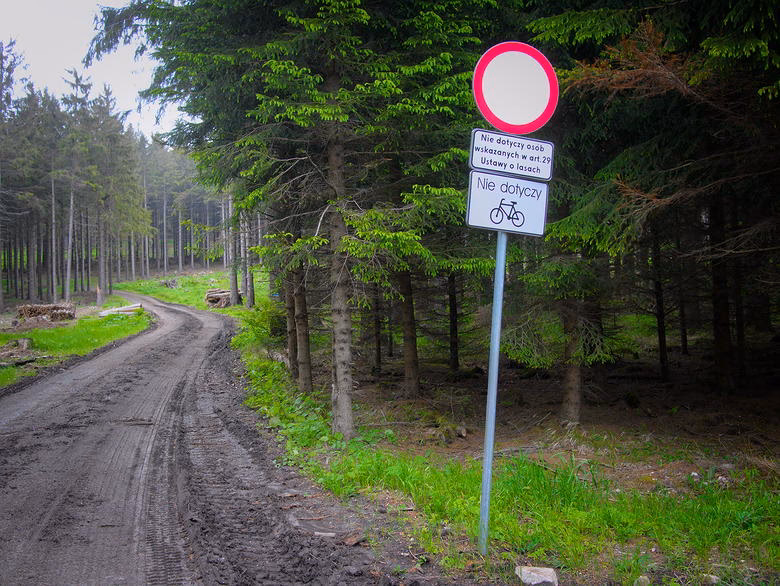 Gdzie obowiązuje zakaz wjazdu do lasu?