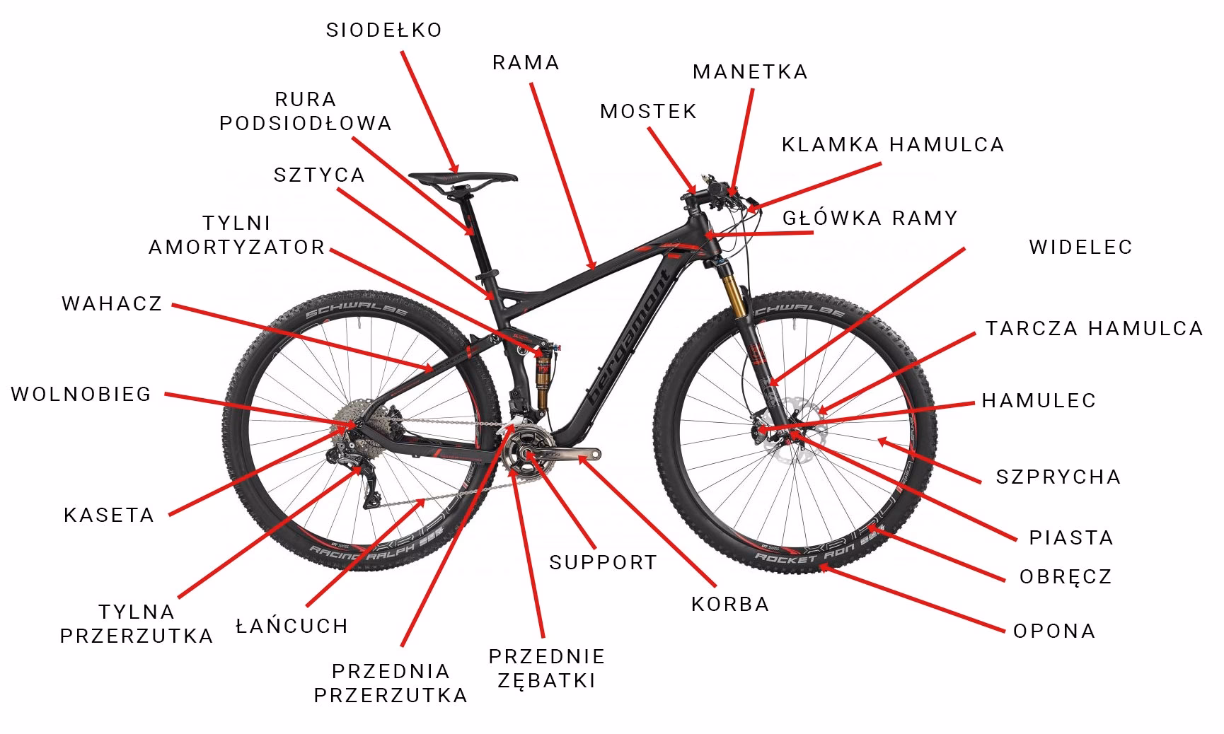 Jak piszemy słowo rowerze?
