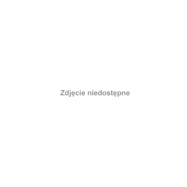 Dlaczego ludziom podobają się rowery z grubymi oponami?